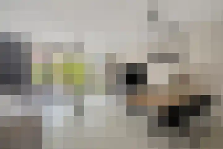 H.T. Zwiersplantsoen 33 Amsterdam thumbnail 8