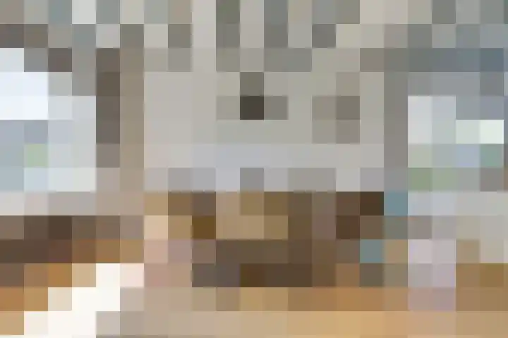 H v Andelstraat 1 Rockanje thumbnail 10
