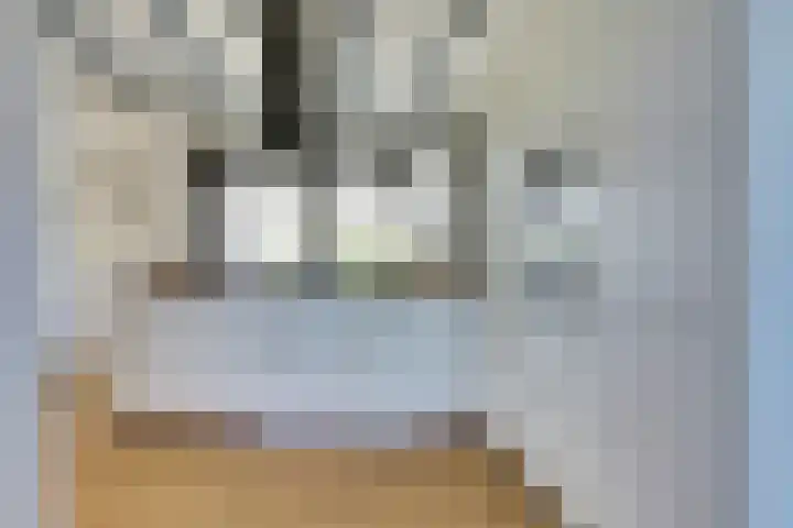 H v Andelstraat 1 Rockanje thumbnail 16