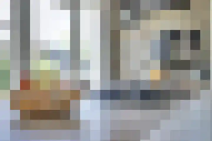 H v Andelstraat 1 Rockanje thumbnail 18