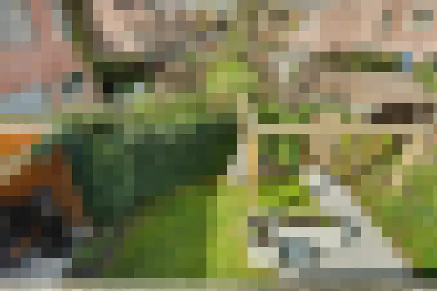 H v Andelstraat 31 Rockanje thumbnail 32