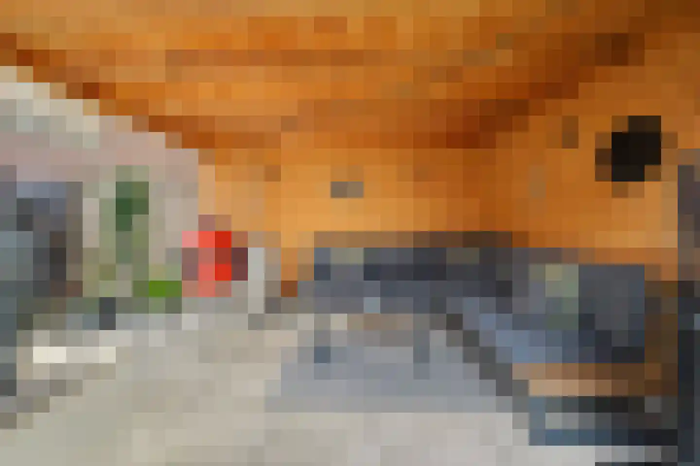 H v Andelstraat 31 Rockanje thumbnail 35