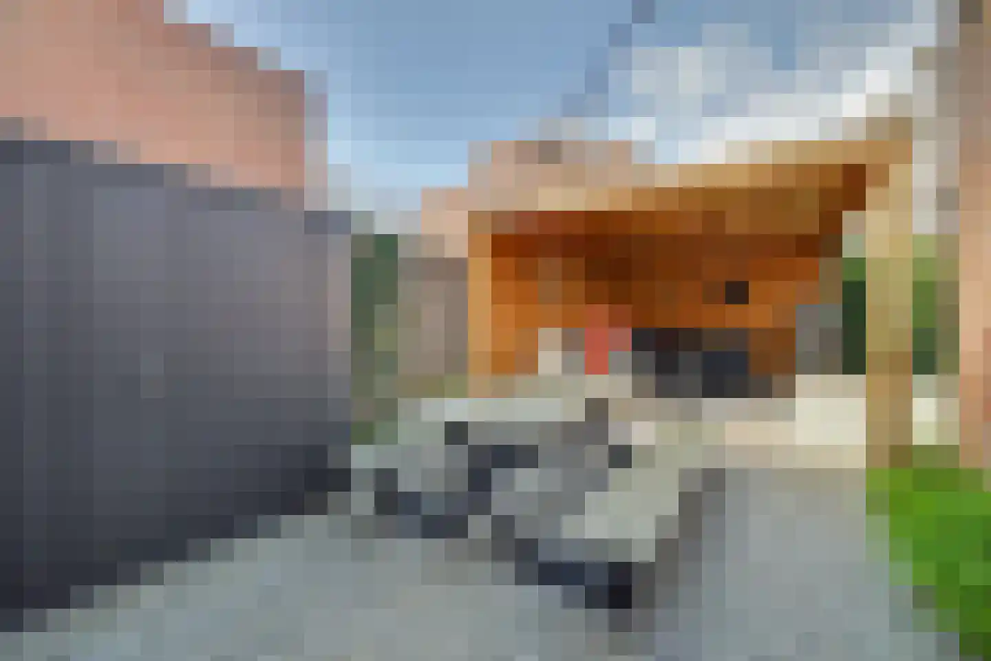 H v Andelstraat 31 Rockanje thumbnail 36