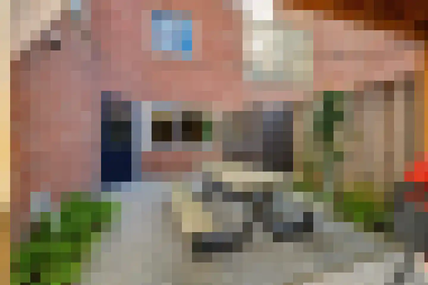 H v Andelstraat 31 Rockanje thumbnail 37