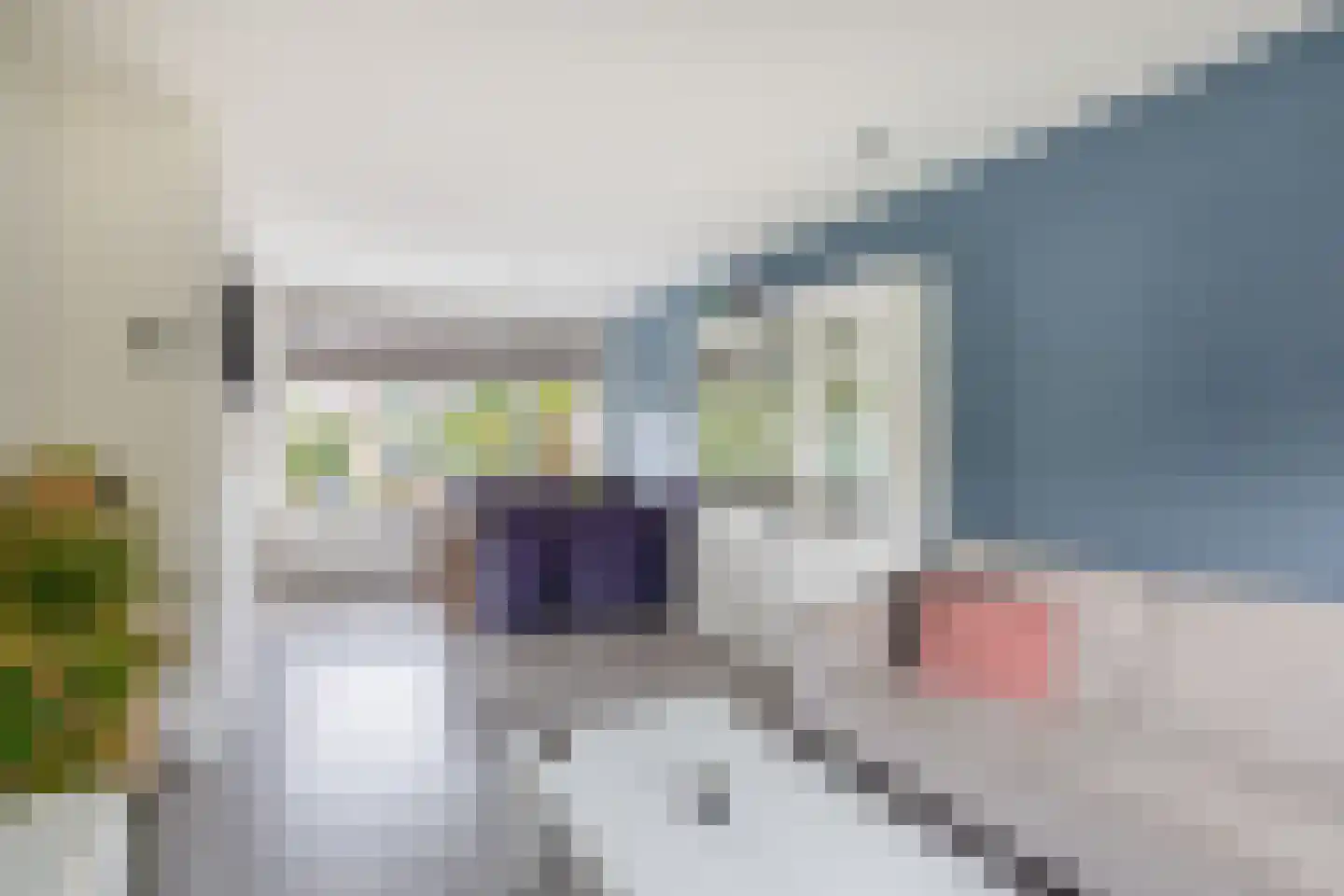 H v Andelstraat 7 Rockanje thumbnail 14