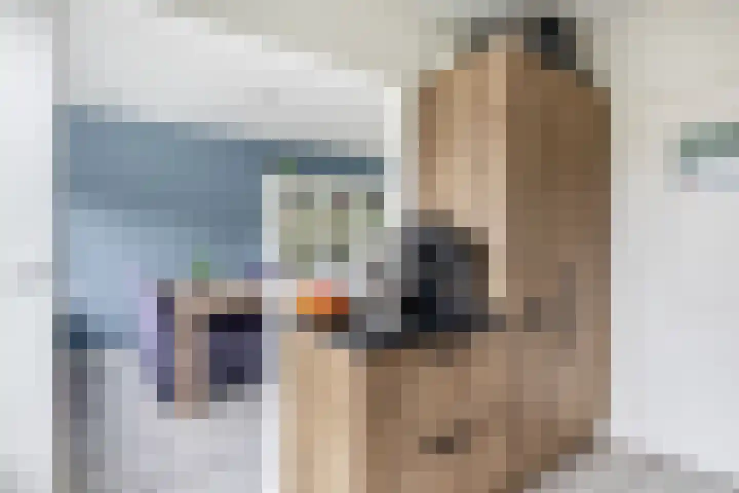 H v Andelstraat 7 Rockanje thumbnail 19