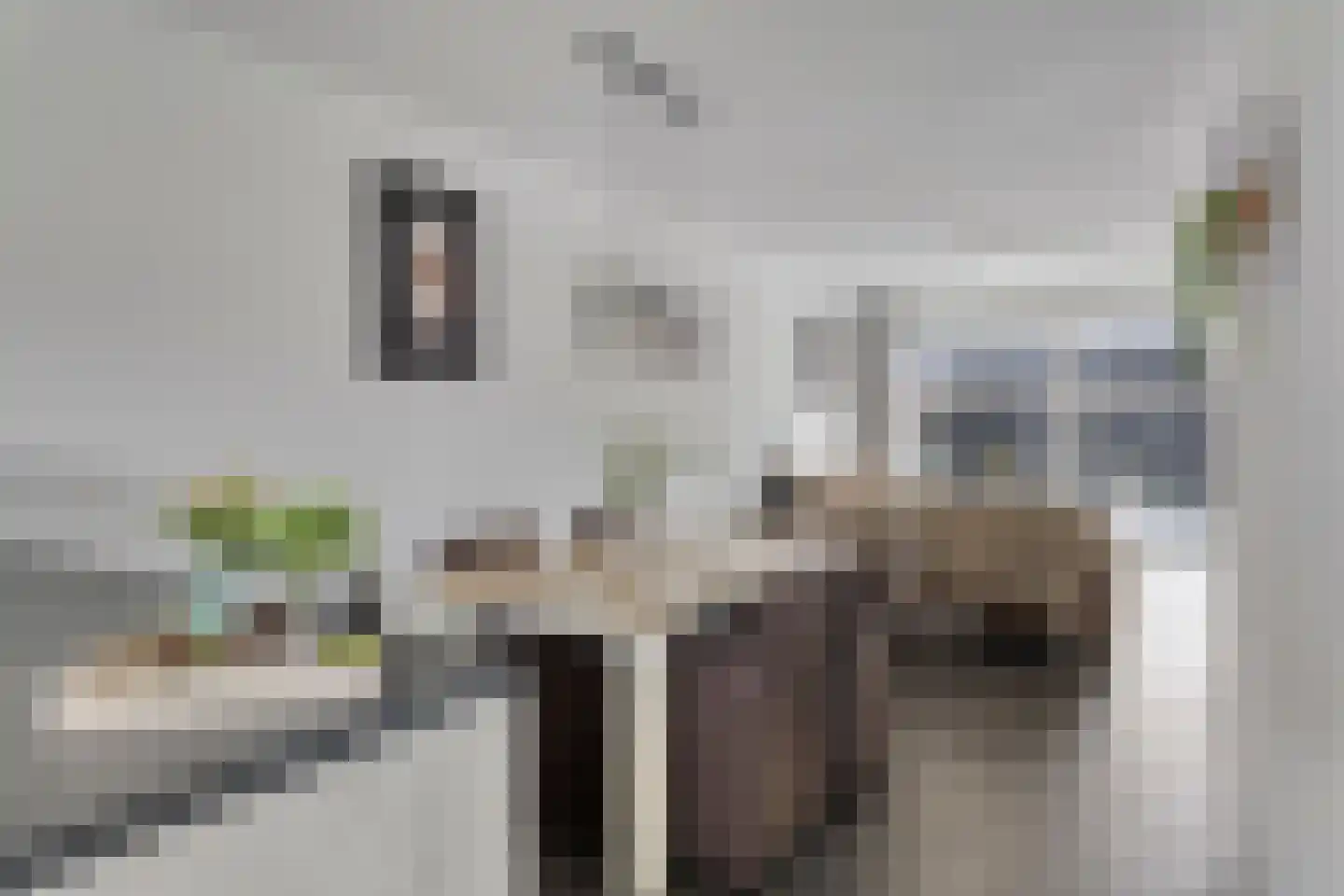 H. van Baarsdorpstraat 16 's-Heer Hendrikskinderen thumbnail 5