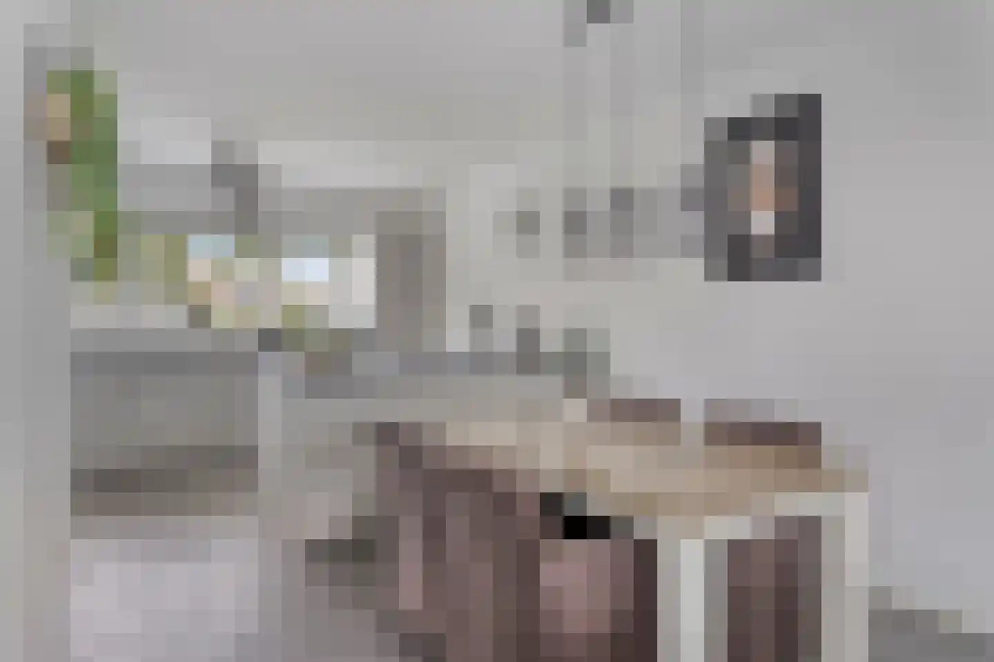 H. van Baarsdorpstraat 16 's-Heer Hendrikskinderen thumbnail 8