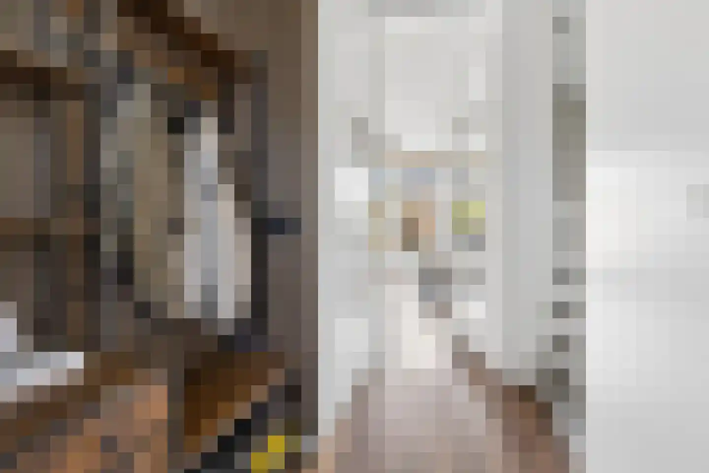 H Vervoornstraat 18 Kesteren thumbnail 11