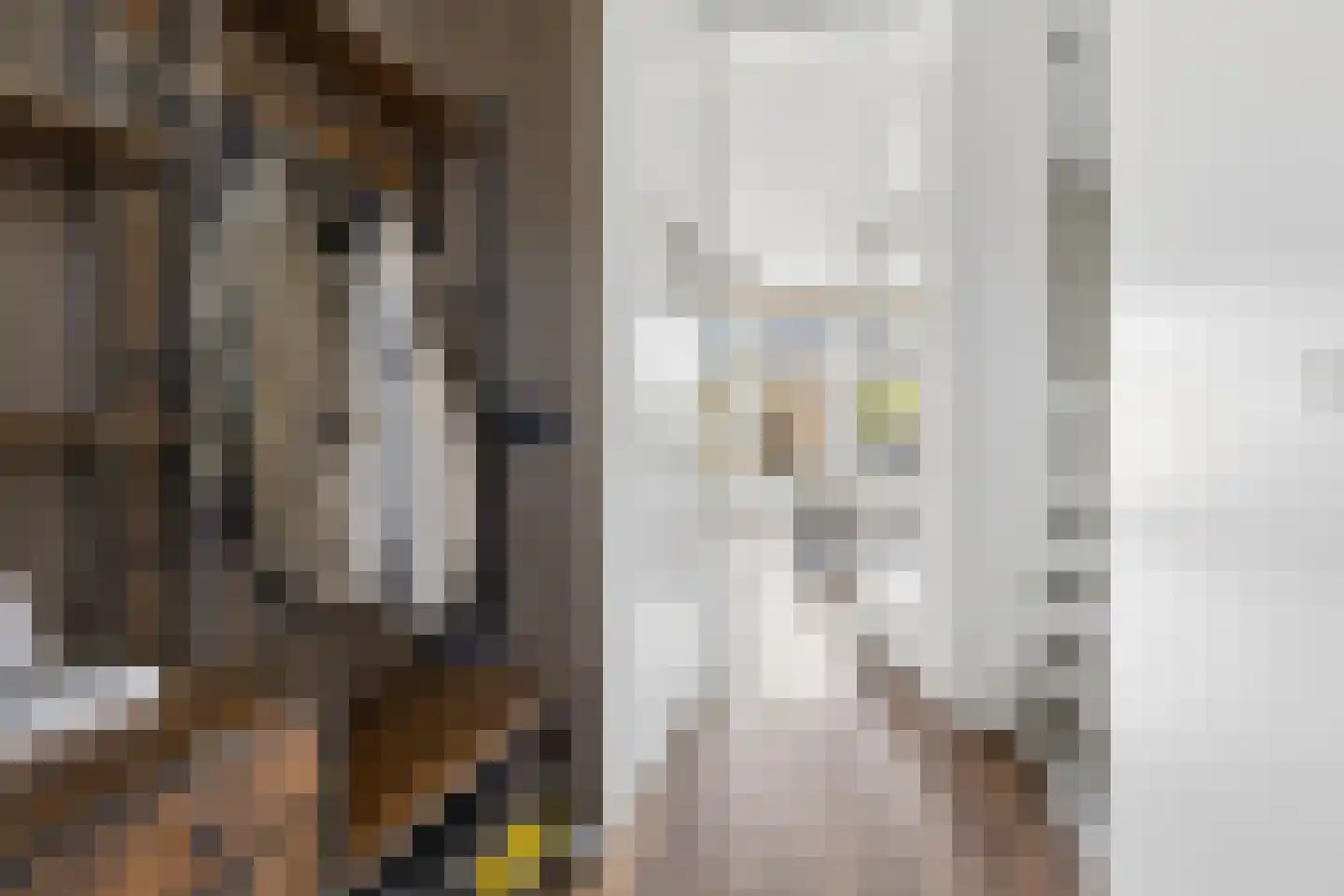 H Vervoornstraat 18 Kesteren thumbnail 12