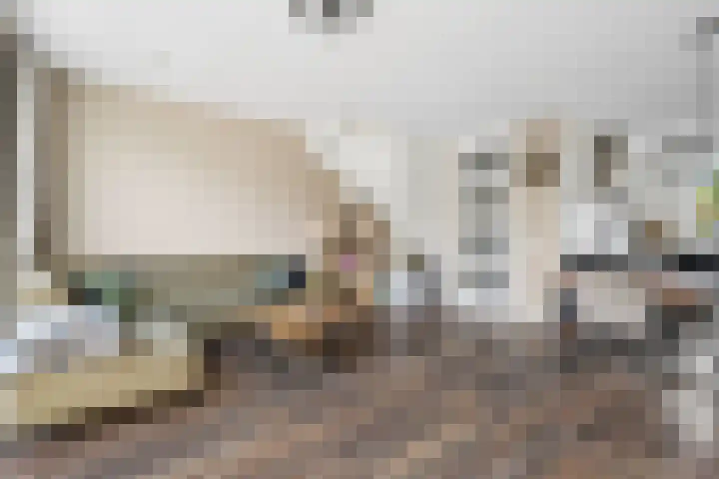 H Vervoornstraat 18 Kesteren thumbnail 13