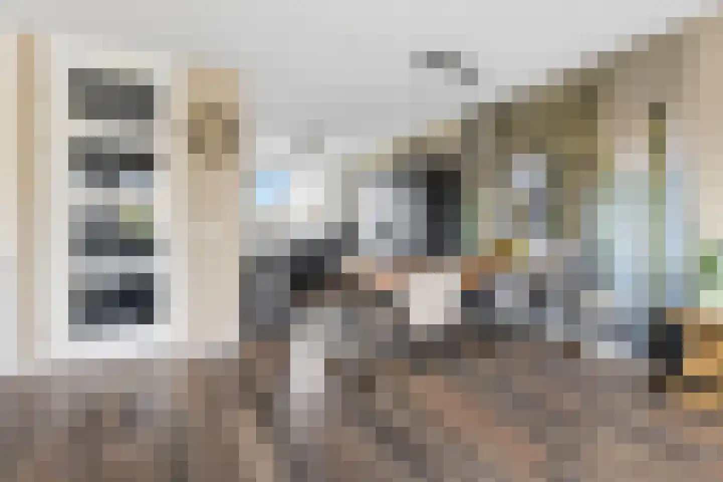 H Vervoornstraat 18 Kesteren thumbnail 15