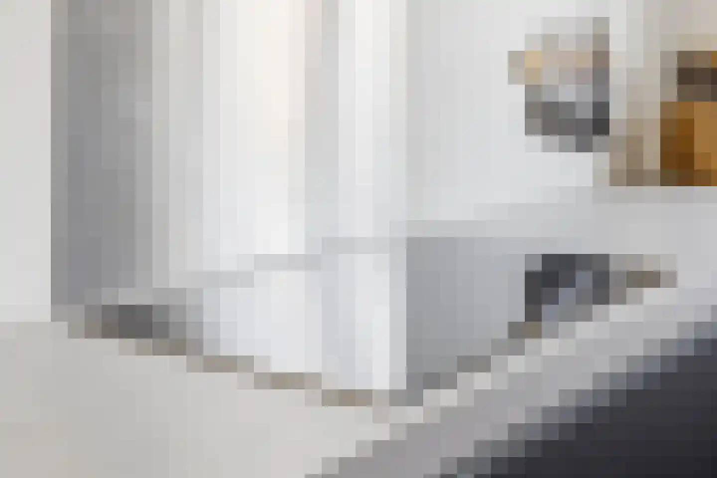 H Vervoornstraat 18 Kesteren thumbnail 19