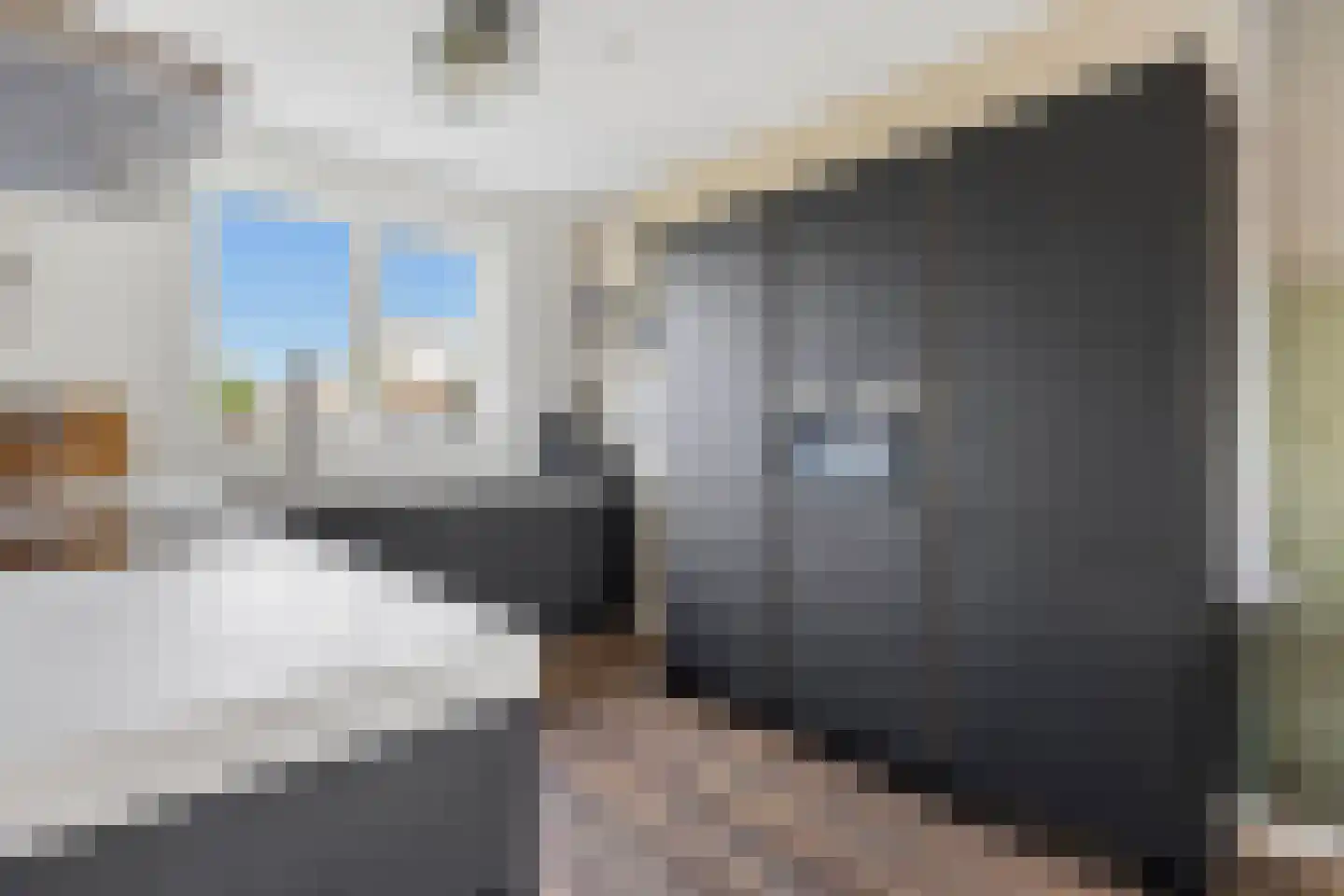 H Vervoornstraat 18 Kesteren thumbnail 20