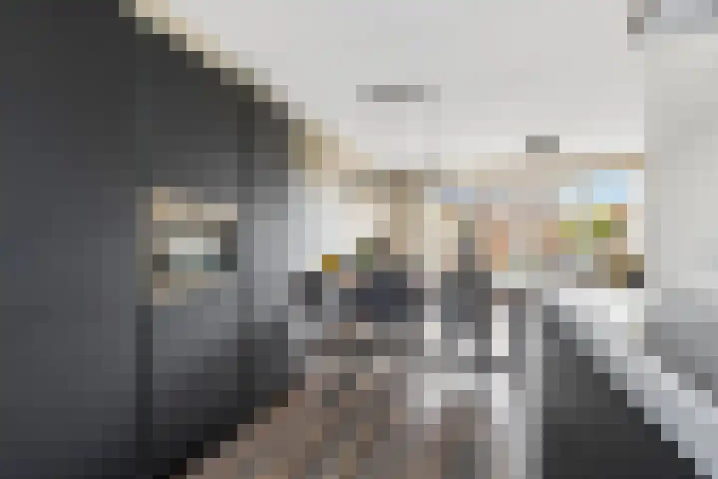 H Vervoornstraat 18 Kesteren thumbnail 24