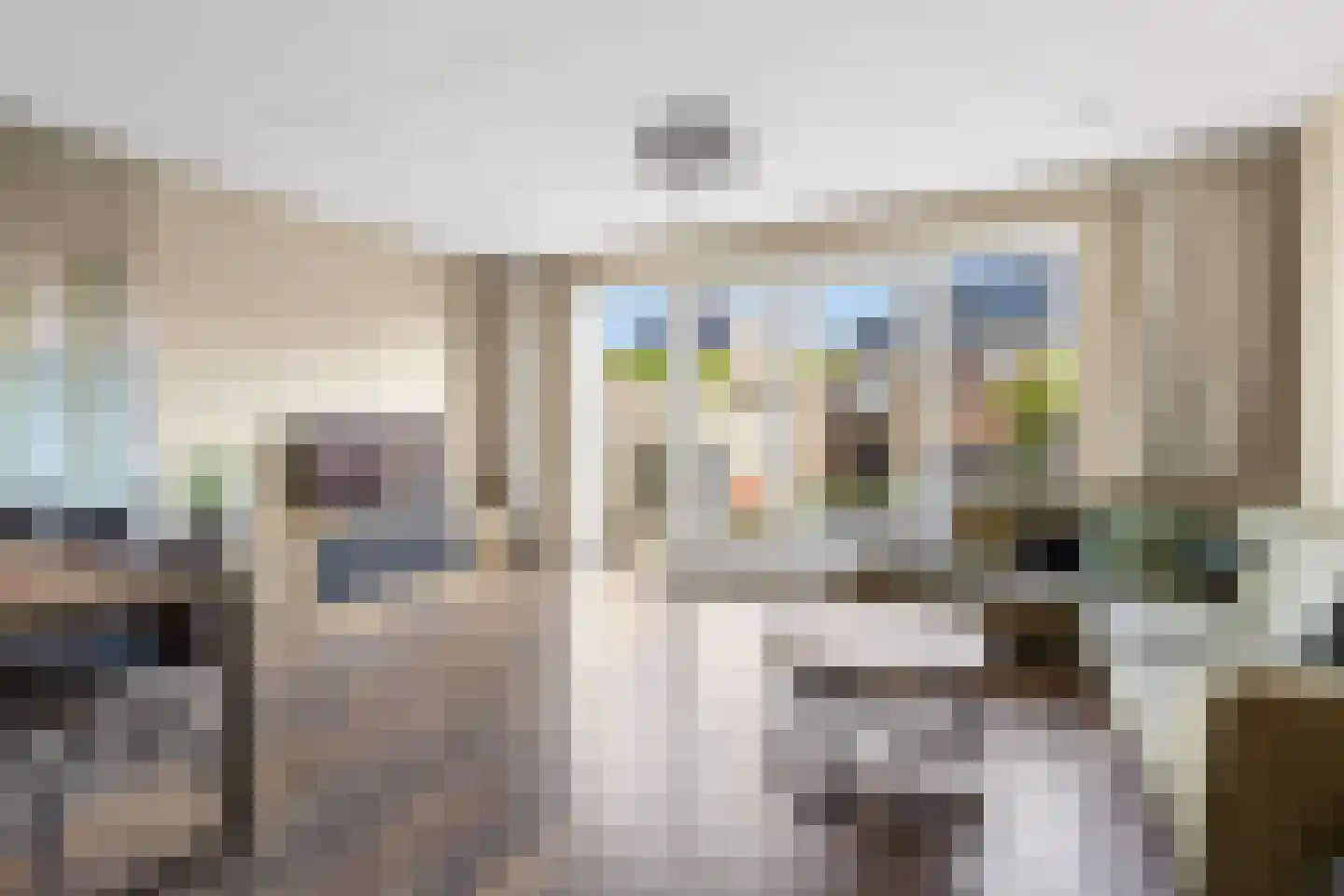 H Vervoornstraat 18 Kesteren thumbnail 26