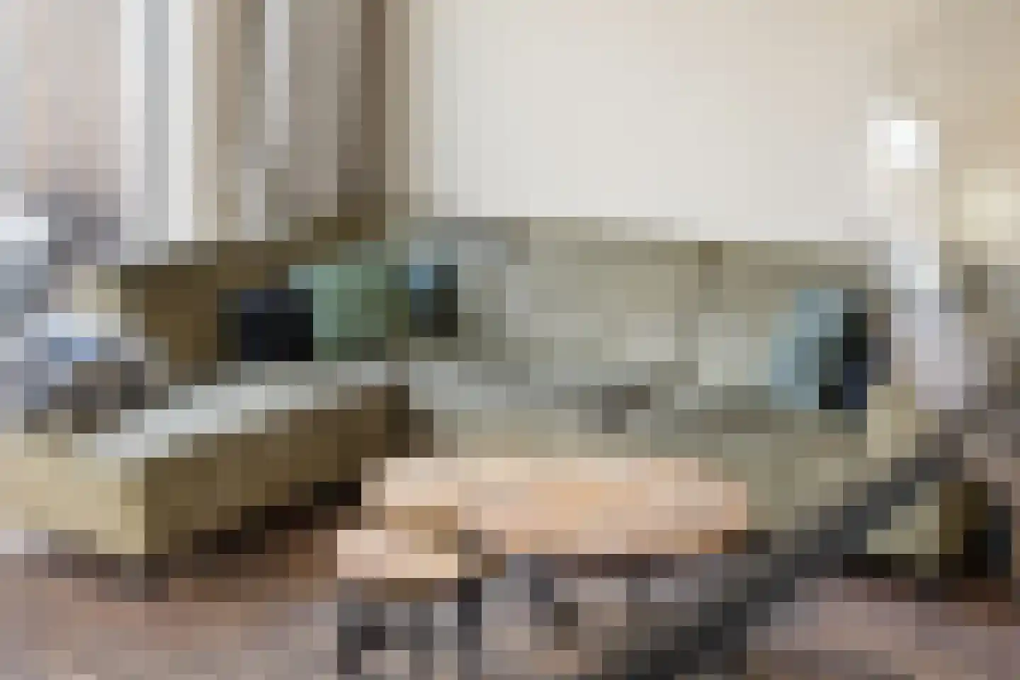 H Vervoornstraat 18 Kesteren thumbnail 29