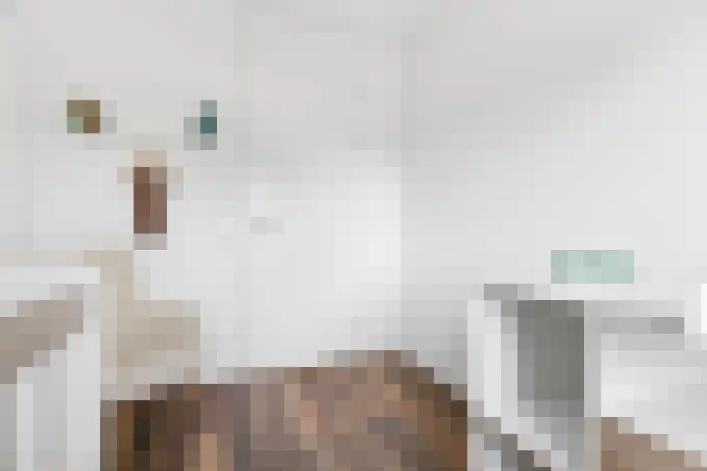 H Vervoornstraat 18 Kesteren thumbnail 40