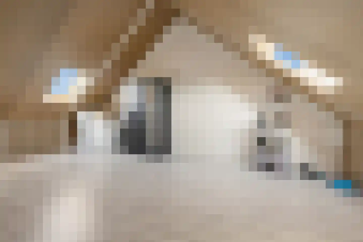 H Vervoornstraat 18 Kesteren thumbnail 43