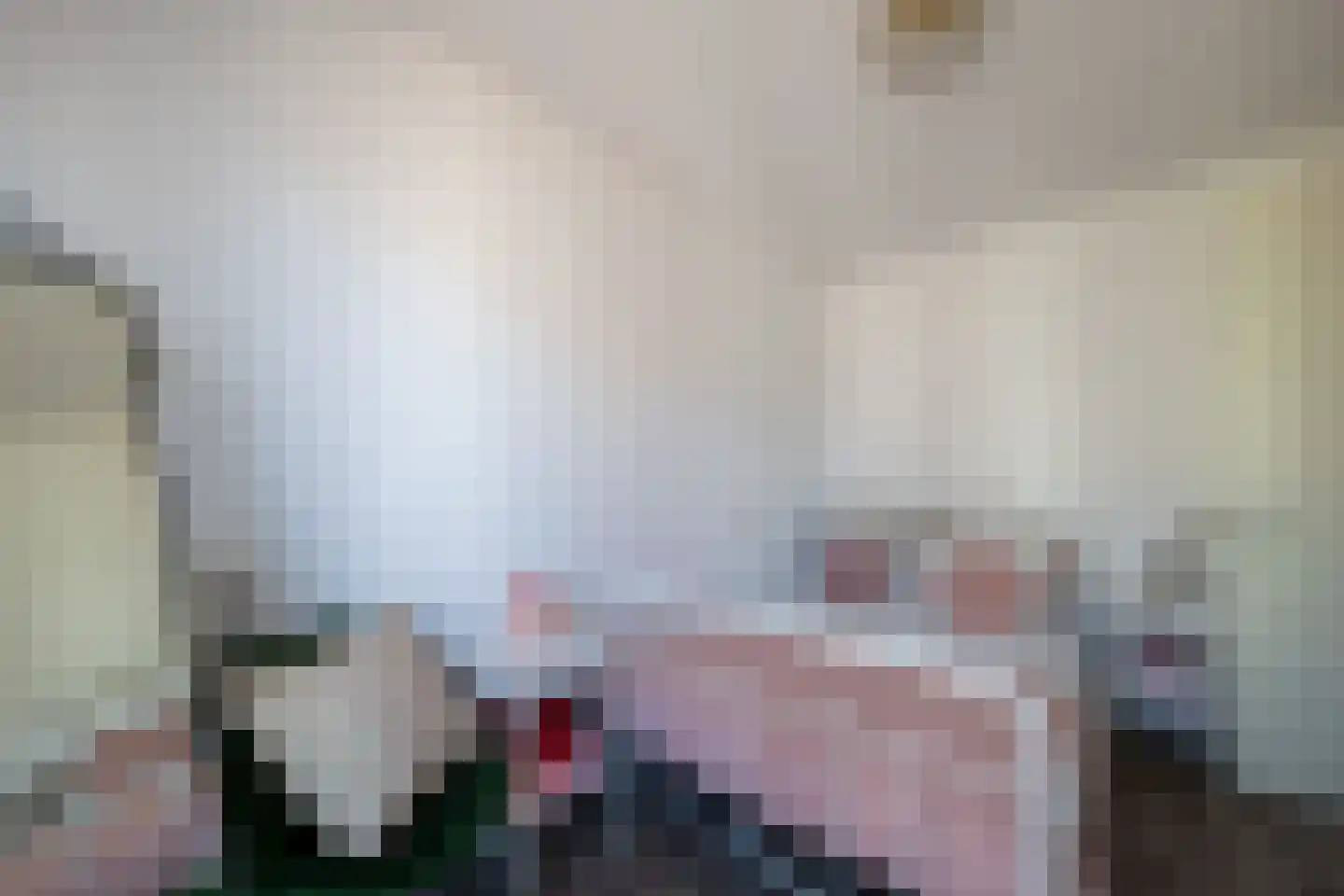 H.W. Bentinckstraat 3 Diepenheim thumbnail 12