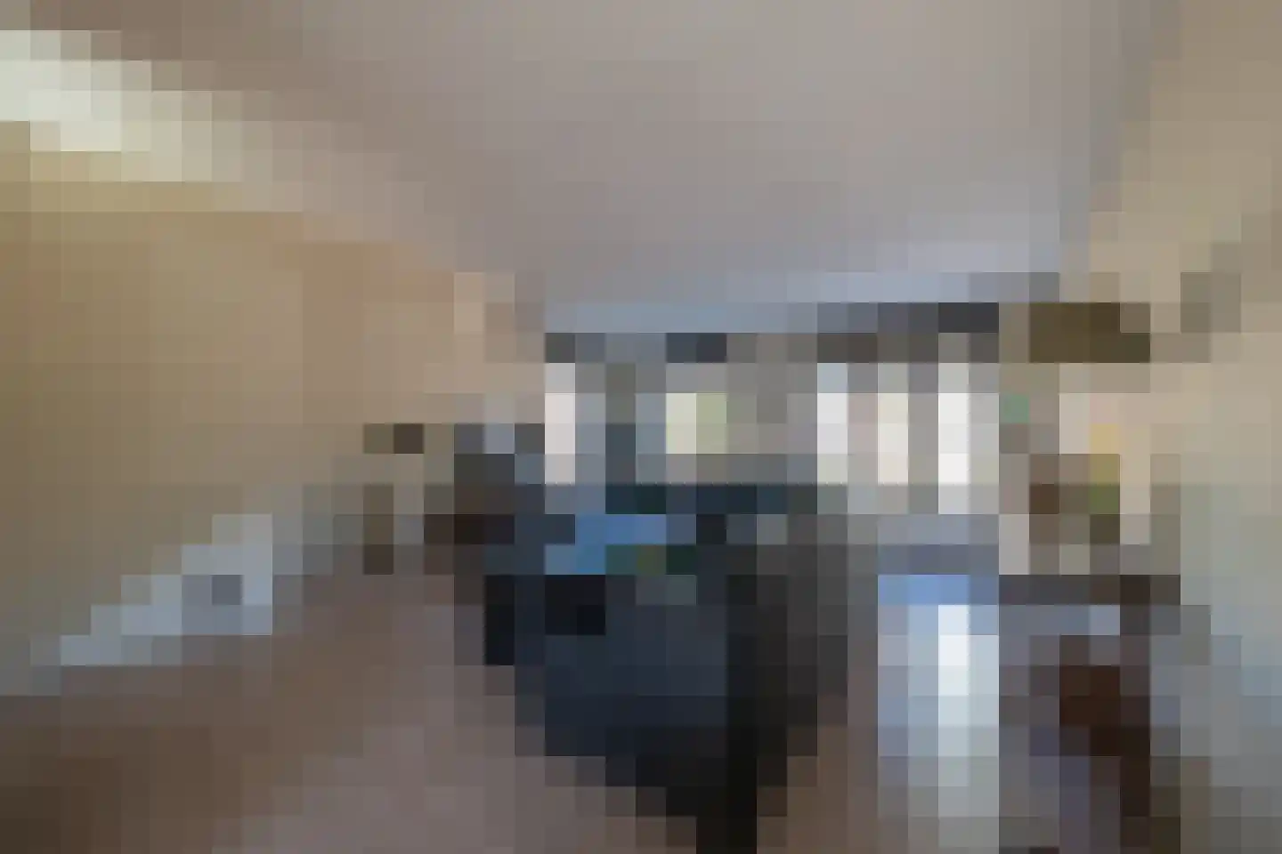 H.W. Bentinckstraat 3 Diepenheim thumbnail 7