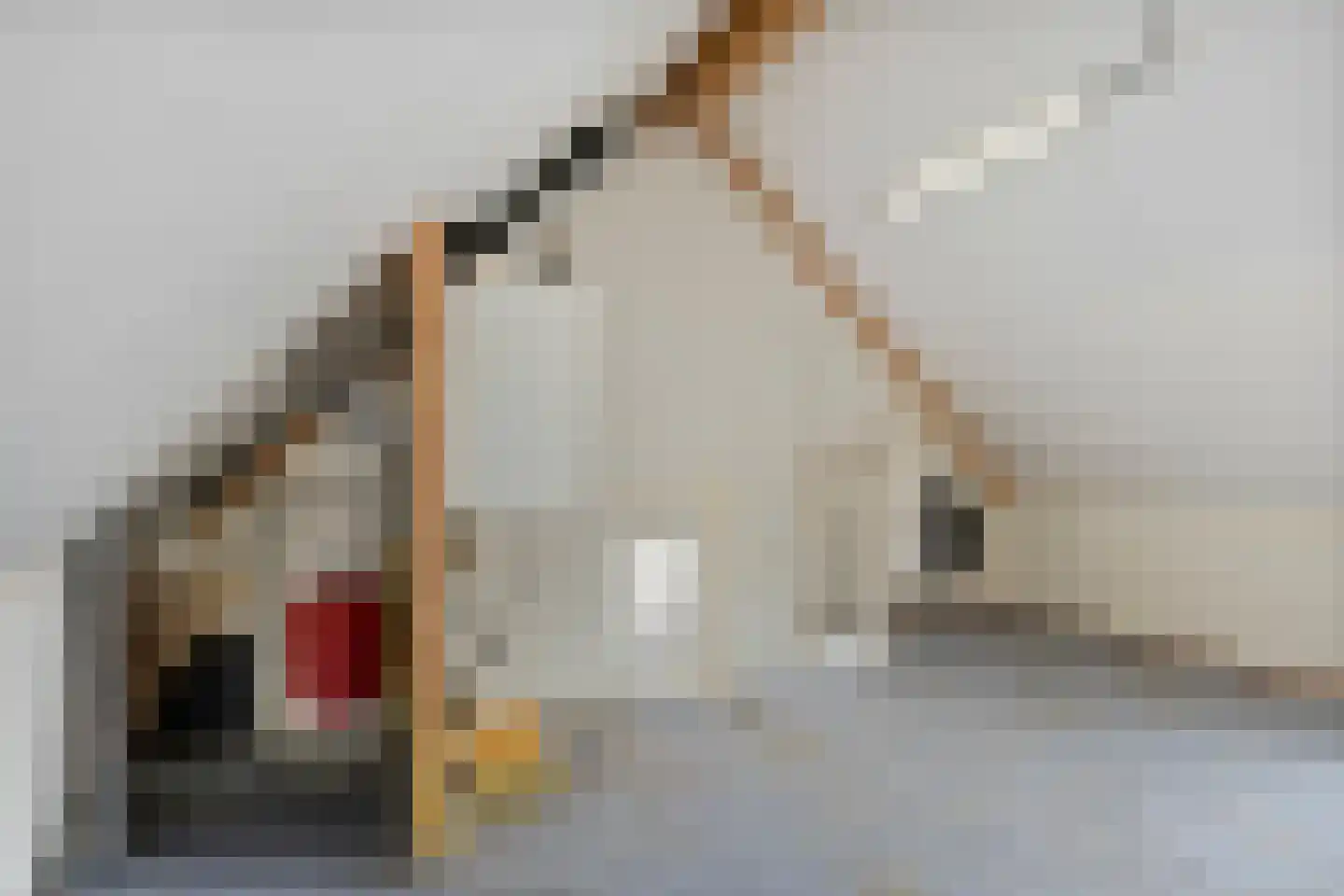 H.W. Bentinckstraat 7 Diepenheim thumbnail 22