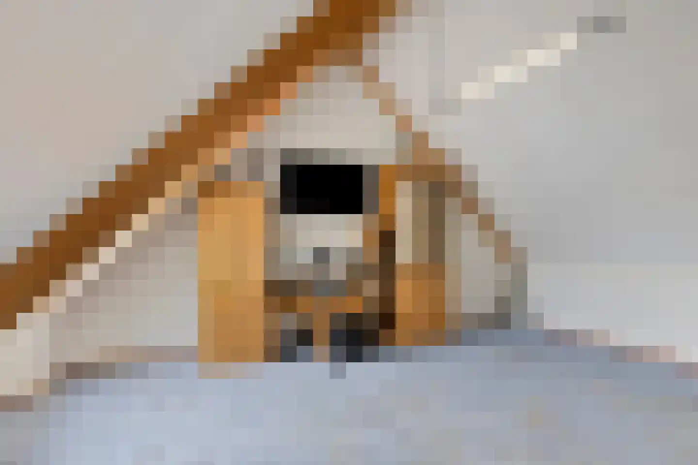 H.W. Bentinckstraat 7 Diepenheim thumbnail 23