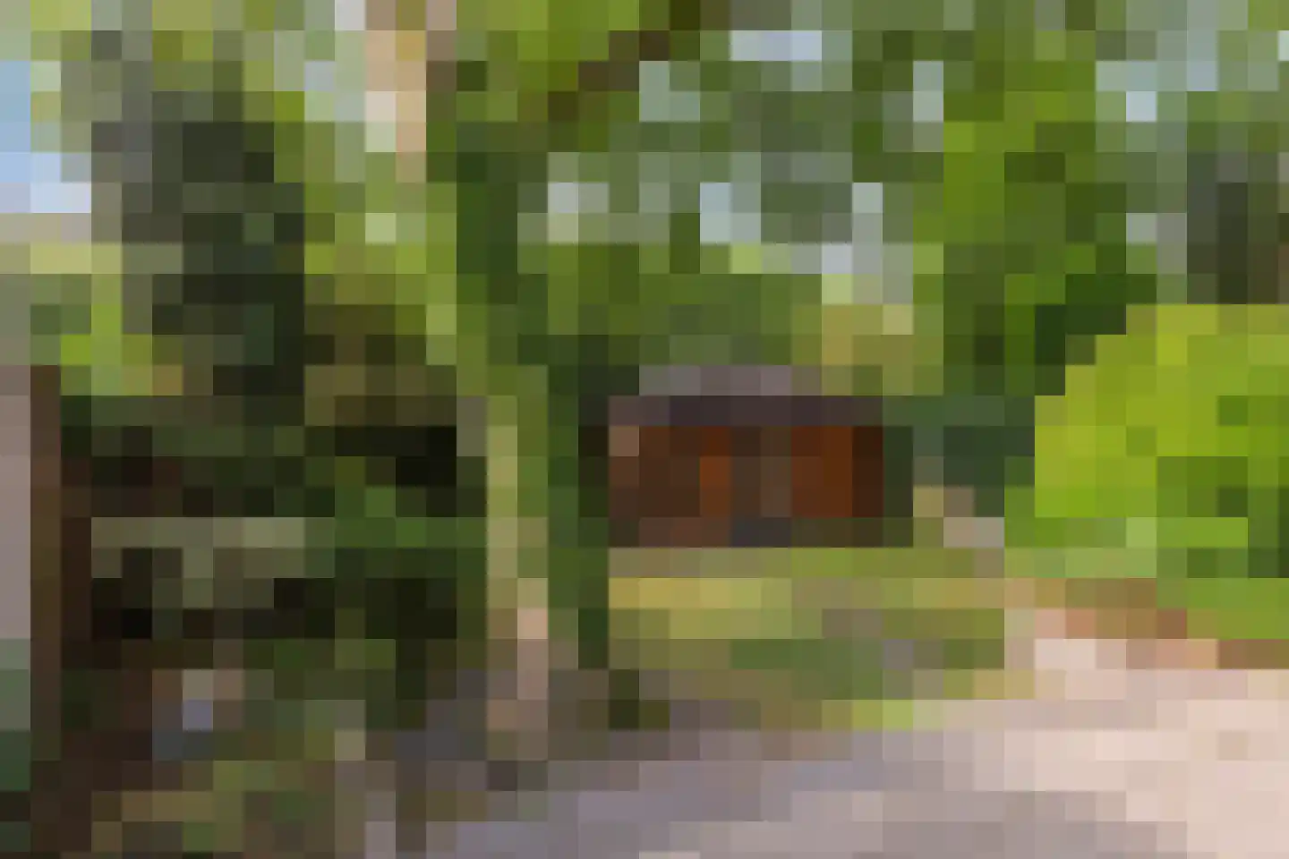 H.W. Bentinckstraat 7 Diepenheim thumbnail 25