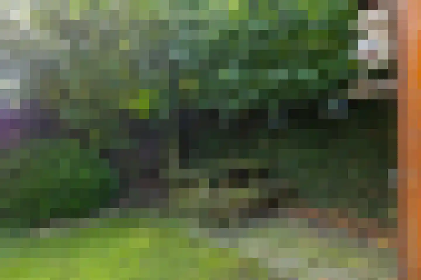 H.W. Bentinckstraat 7 Diepenheim thumbnail 26