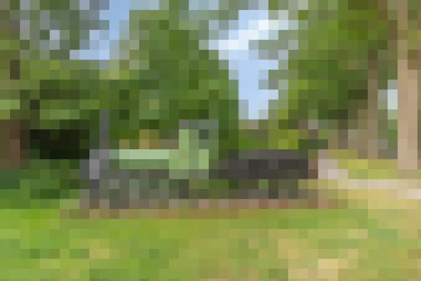H.W. Bentinckstraat 7 Diepenheim thumbnail 33