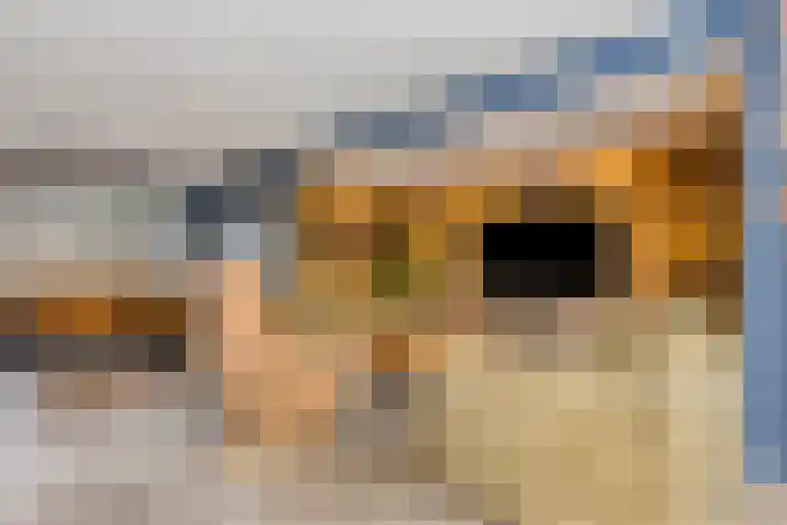 H W Croeslaan 12 Vierpolders thumbnail 11