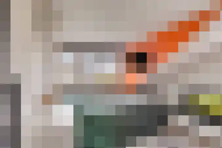 H W Croeslaan 12 Vierpolders thumbnail 26