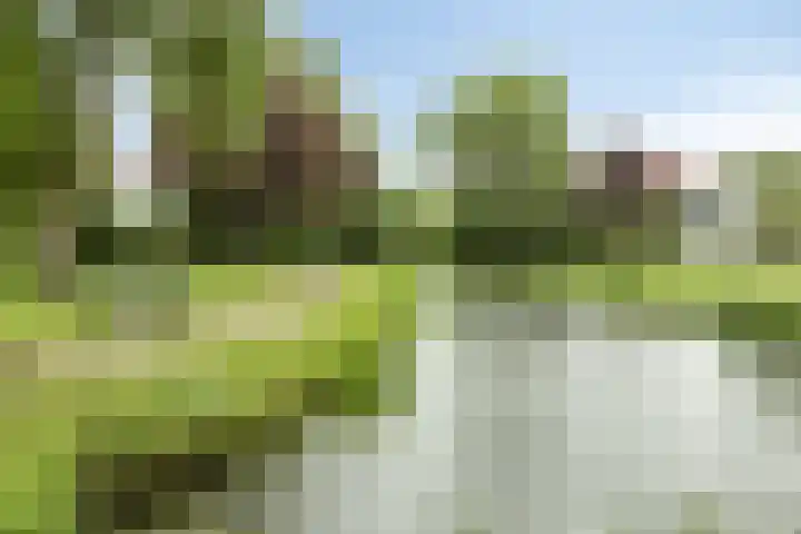 H W Croeslaan 3 Vierpolders thumbnail 24