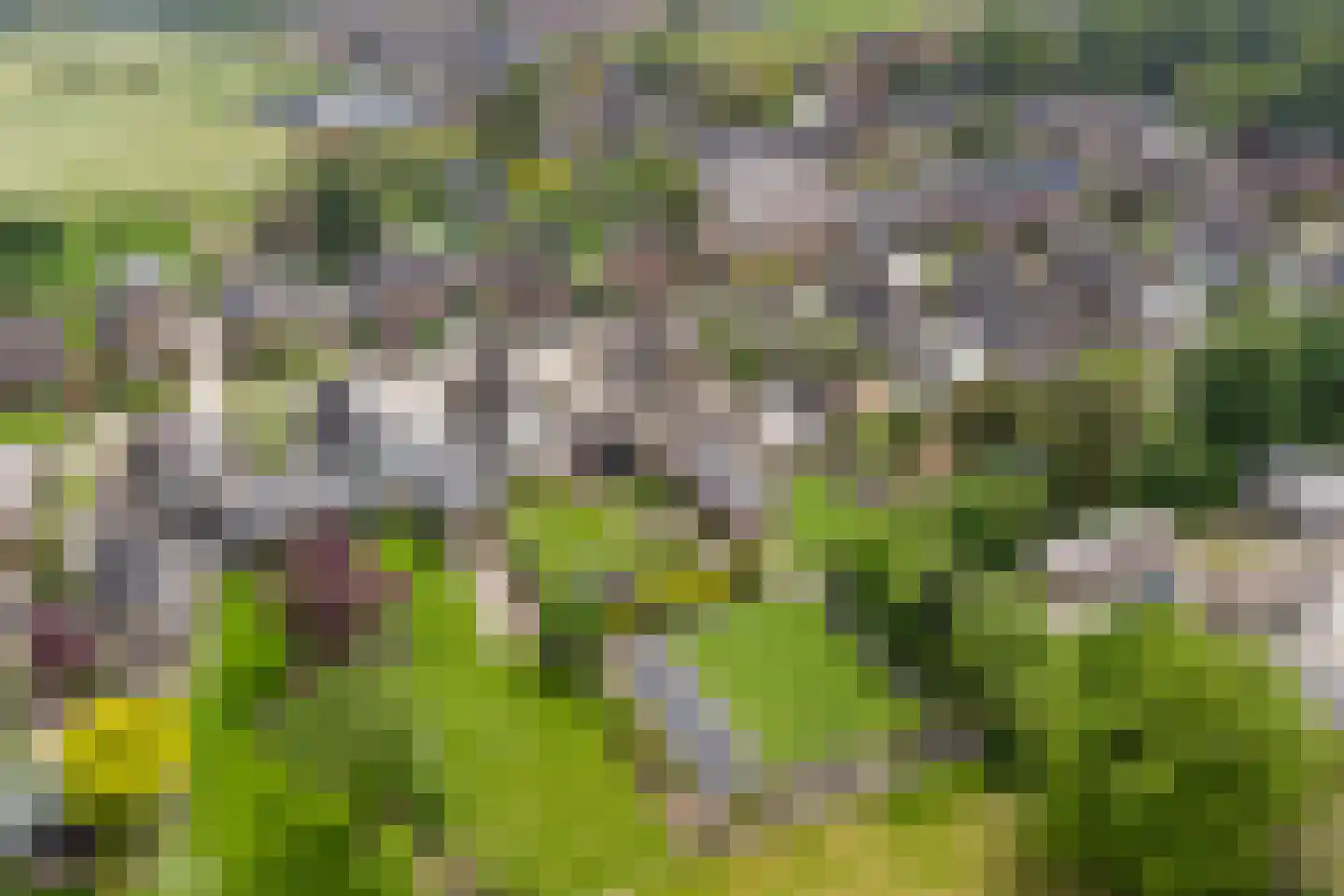 H.W. Iordensweg 130 A Wilp thumbnail 47