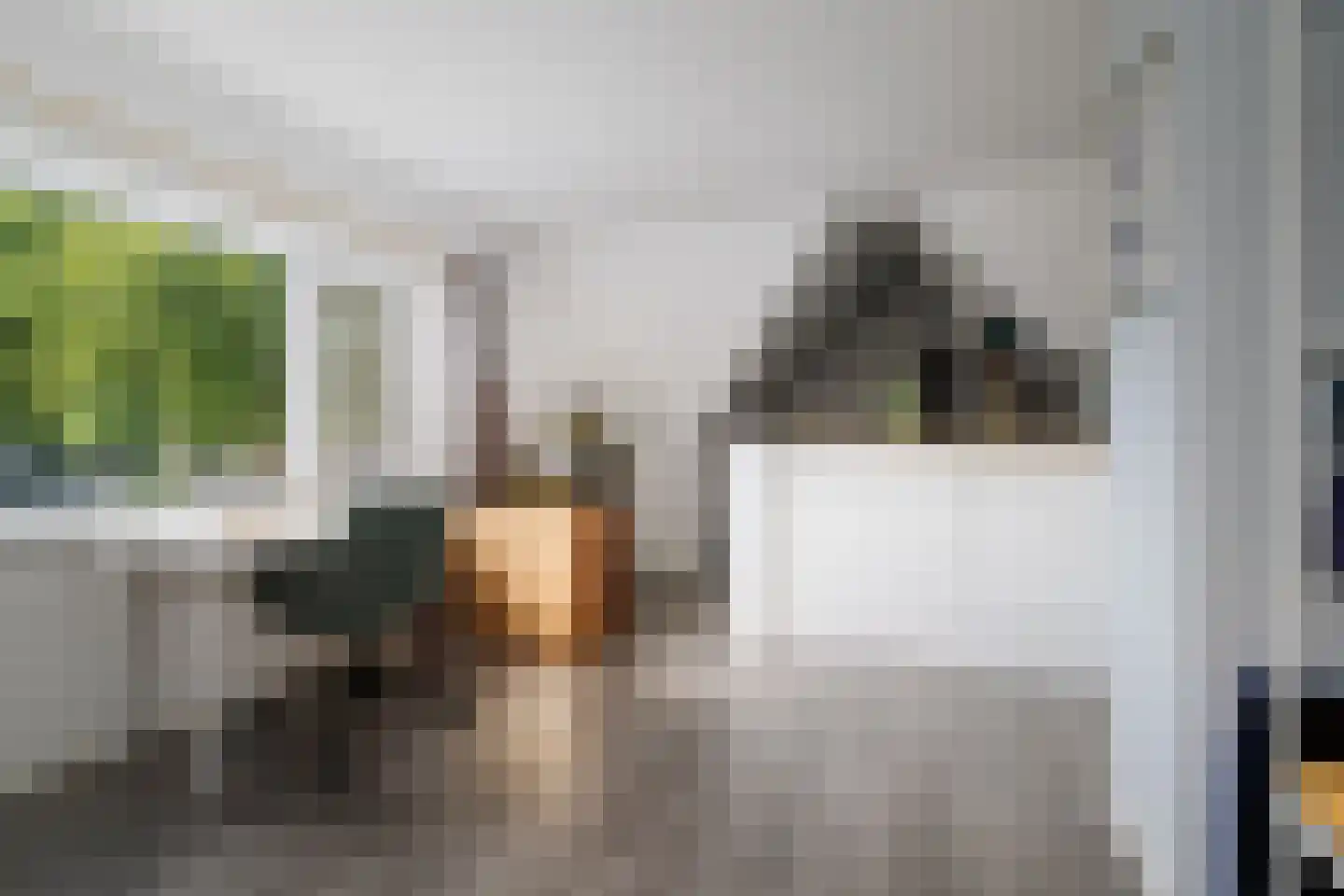 H.W. Iordensweg 33 Twello thumbnail 11