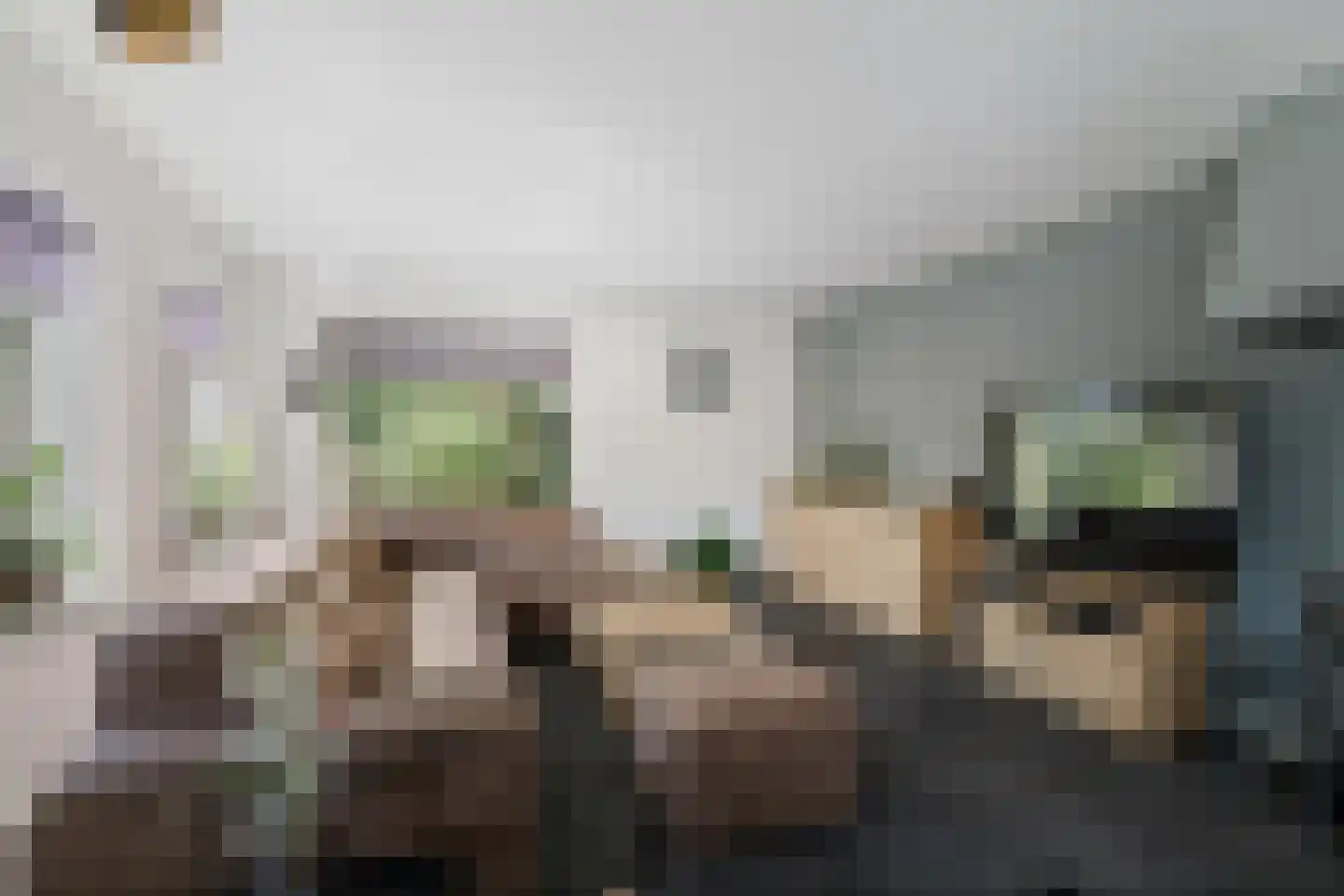 H.W. Iordensweg 33 Twello thumbnail 12