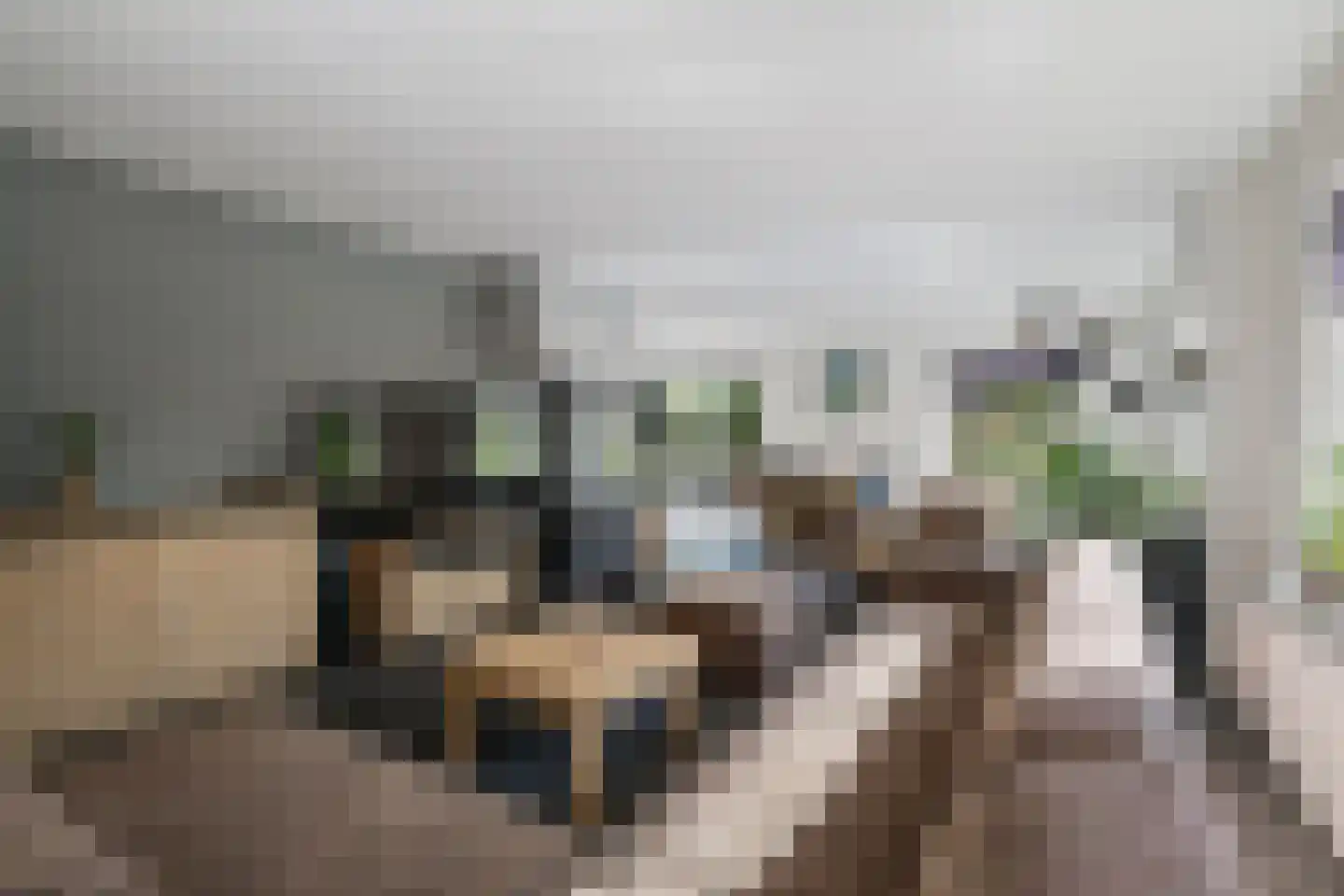 H.W. Iordensweg 33 Twello thumbnail 14