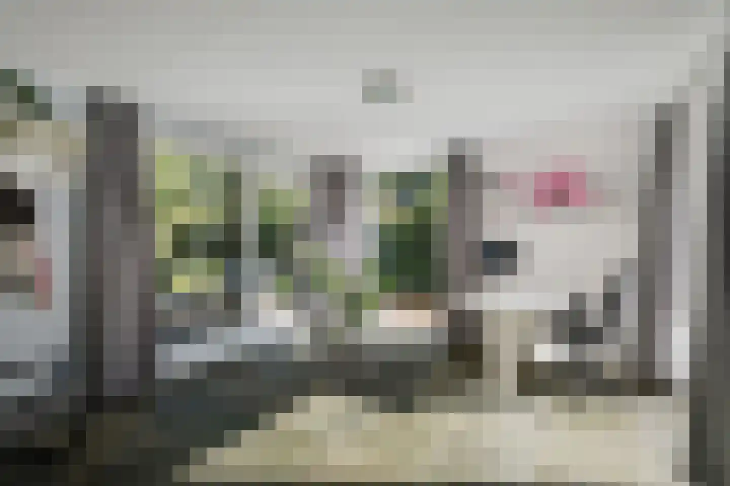 H.W. Iordensweg 33 Twello thumbnail 20