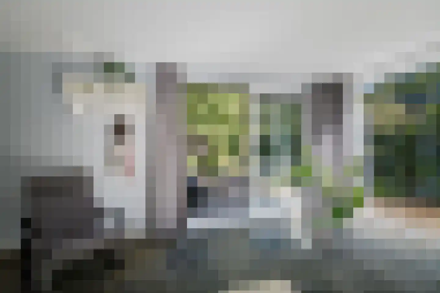 H.W. Iordensweg 33 Twello thumbnail 22