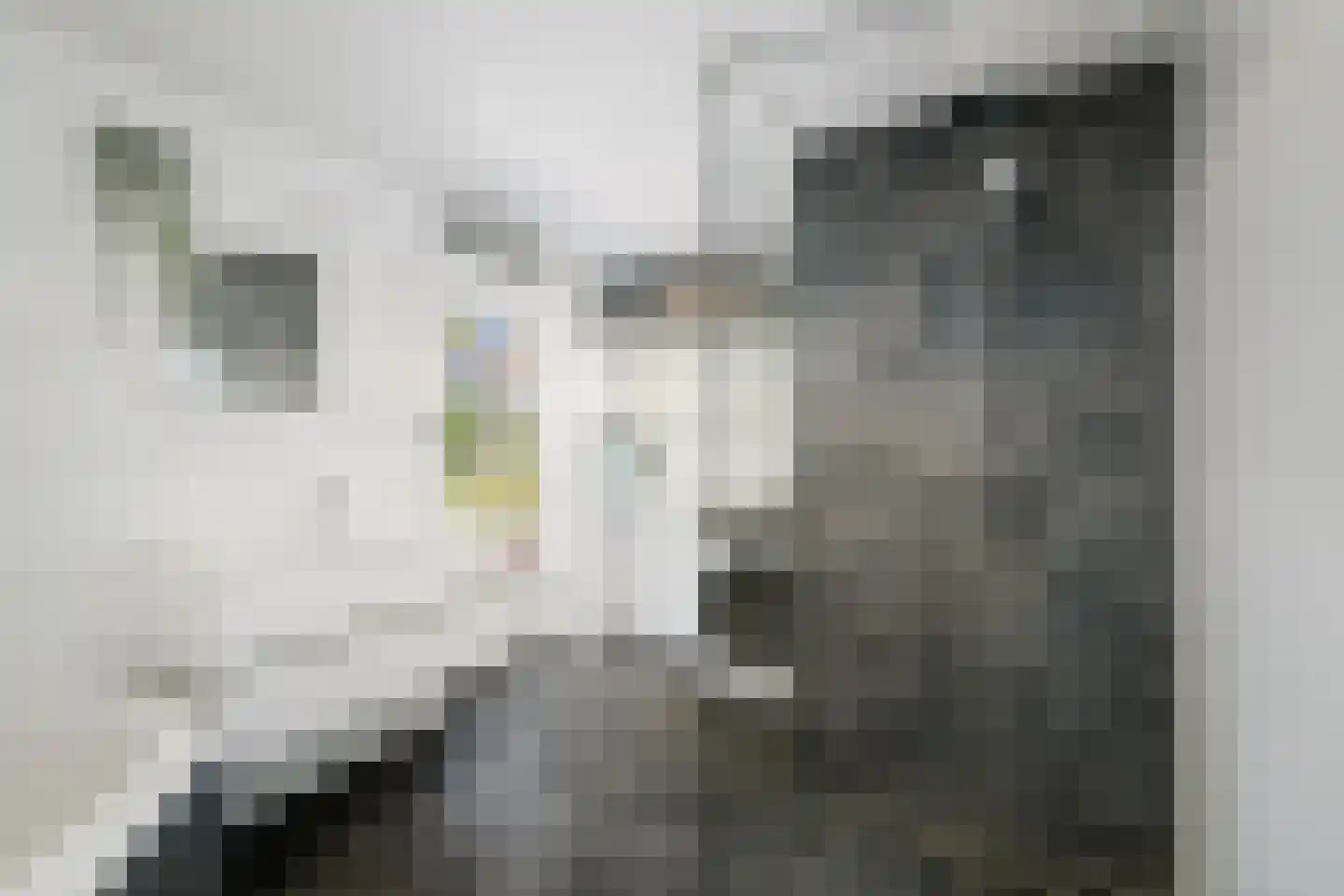 H.W. Iordensweg 33 Twello thumbnail 25