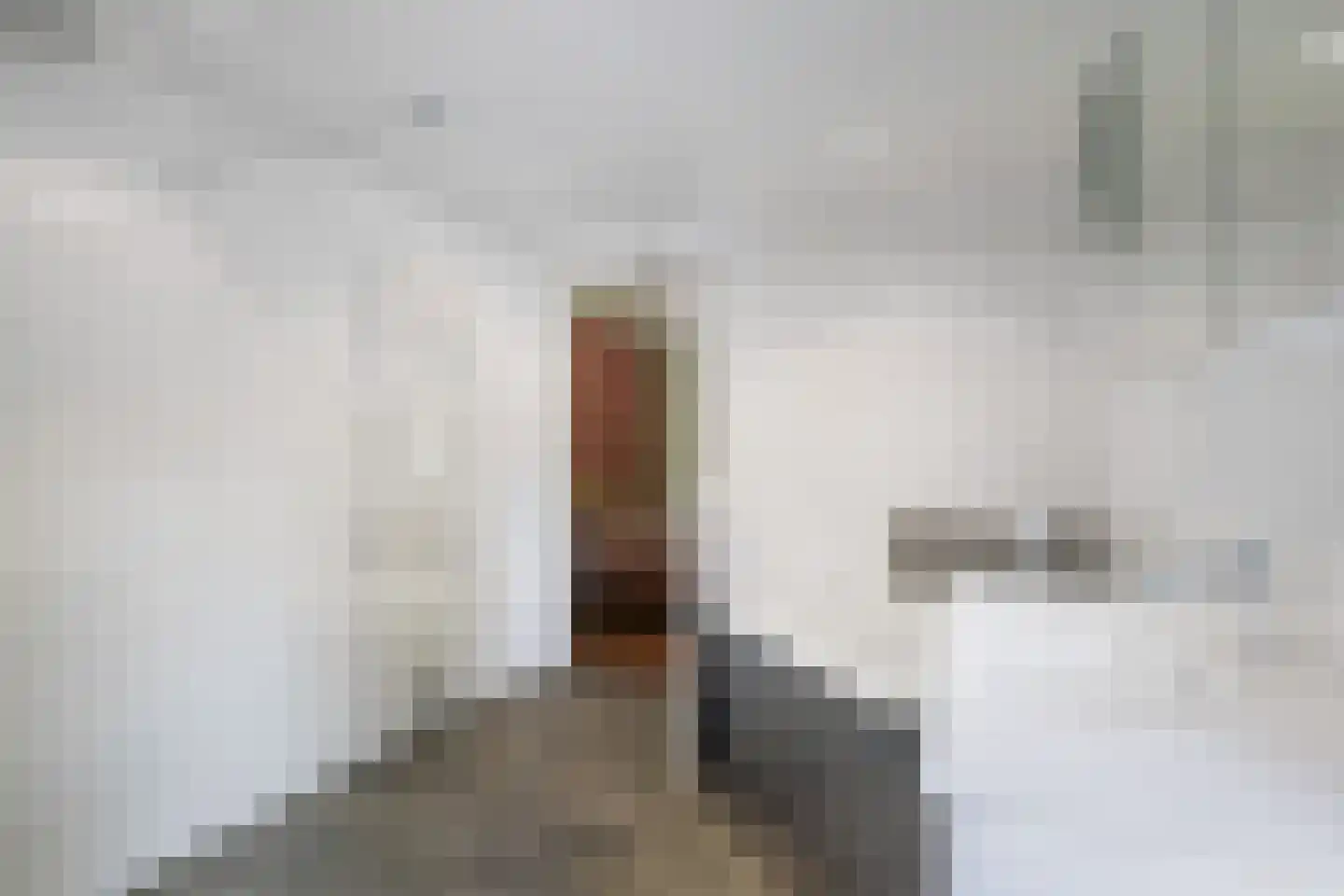 H.W. Iordensweg 33 Twello thumbnail 26