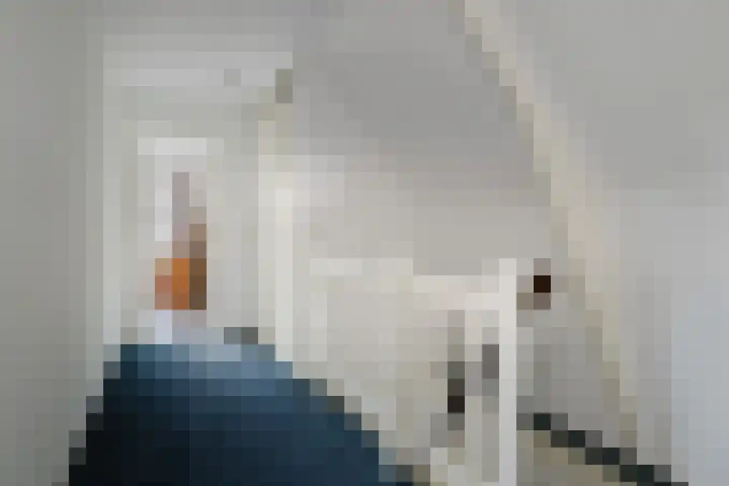 H.W. Iordensweg 33 Twello thumbnail 28