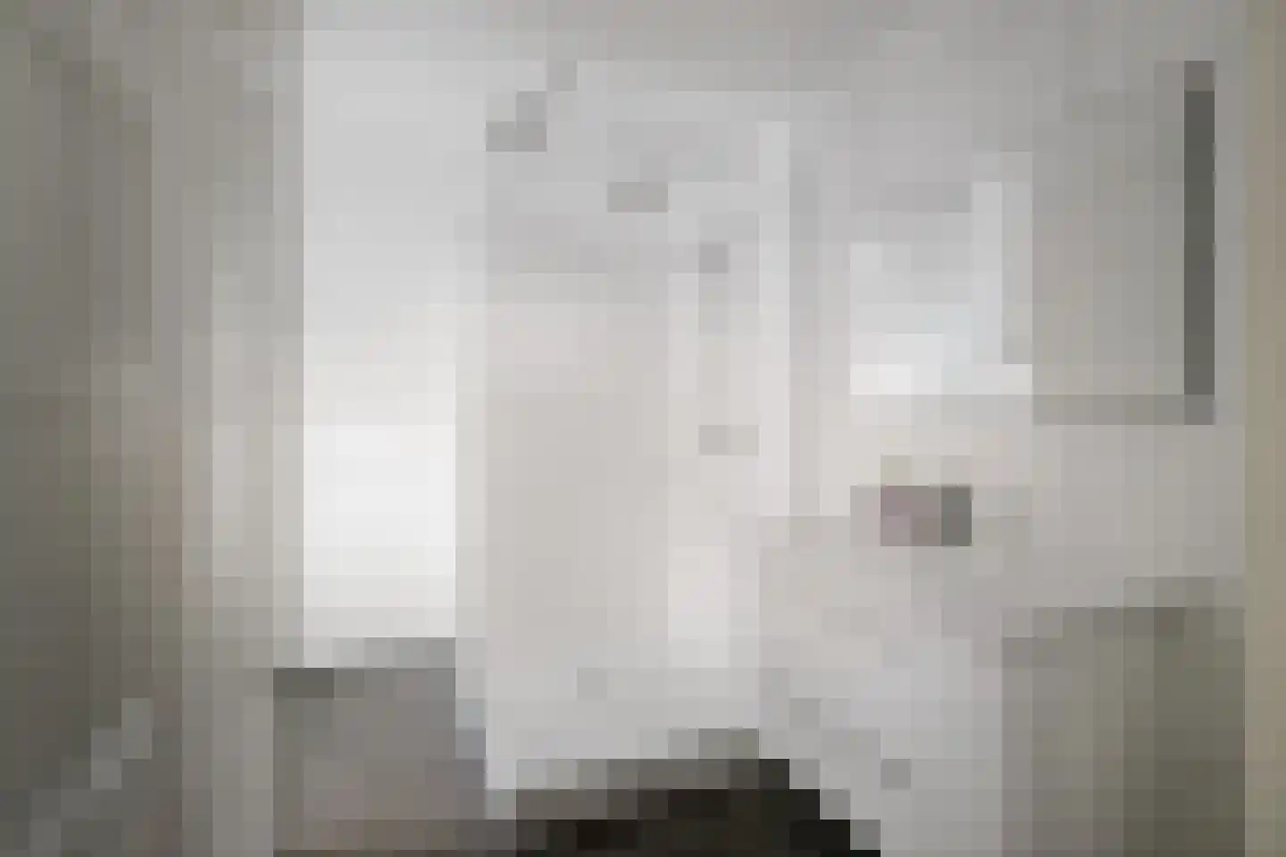 H.W. Iordensweg 33 Twello thumbnail 34