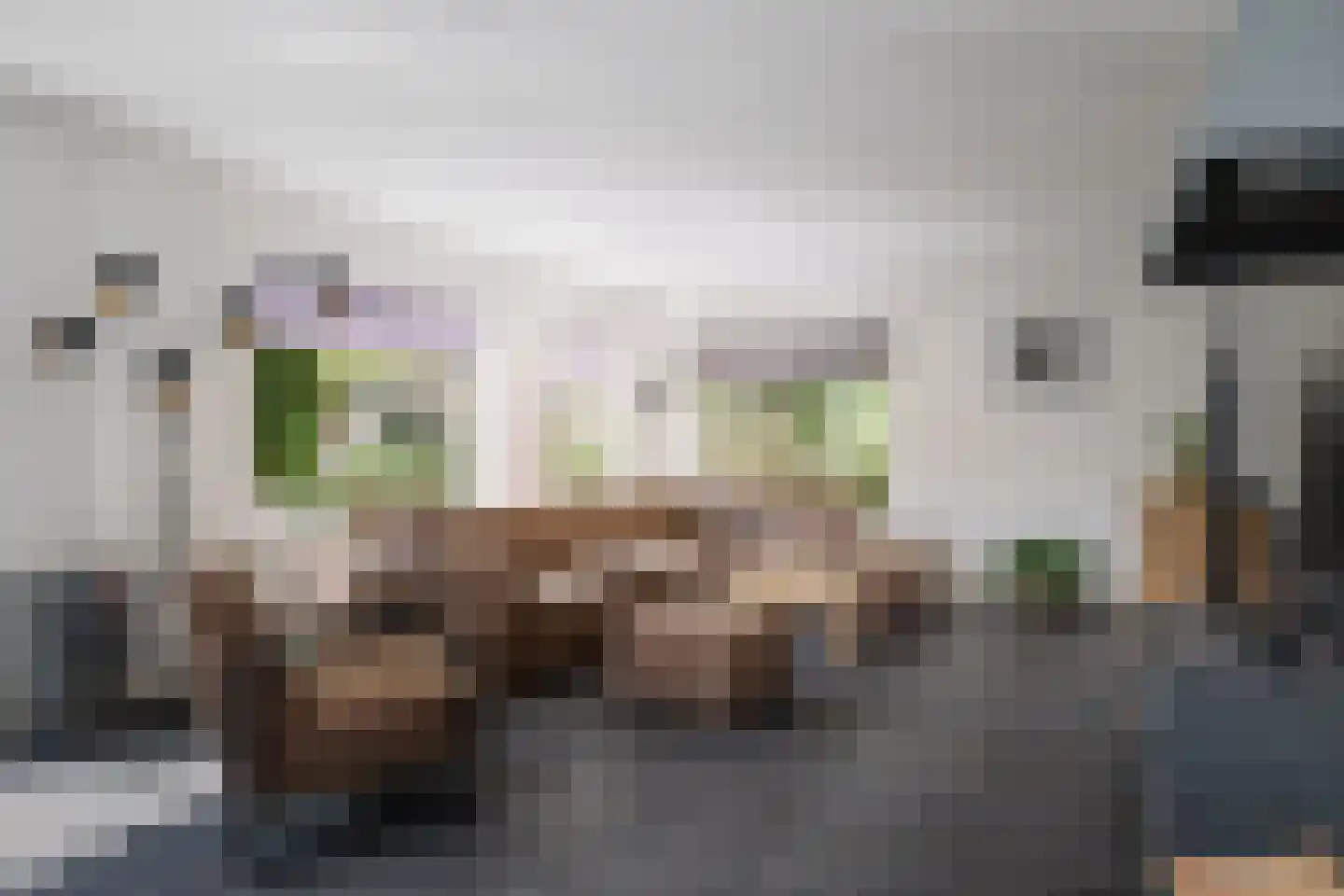 H.W. Iordensweg 33 Twello thumbnail 4
