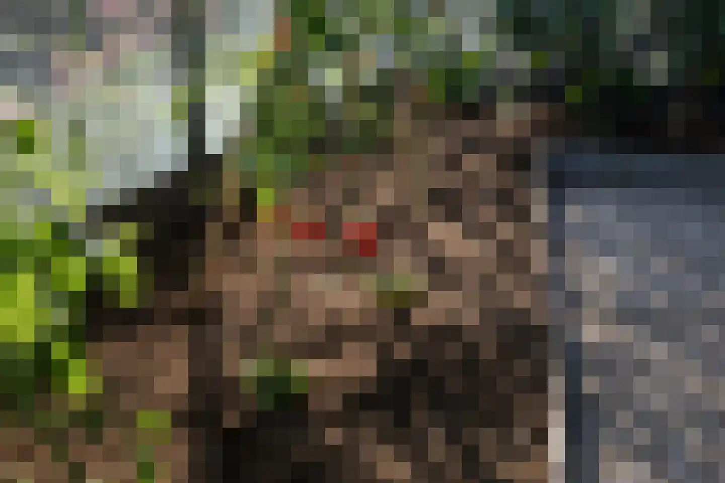 H.W. Iordensweg 33 Twello thumbnail 43