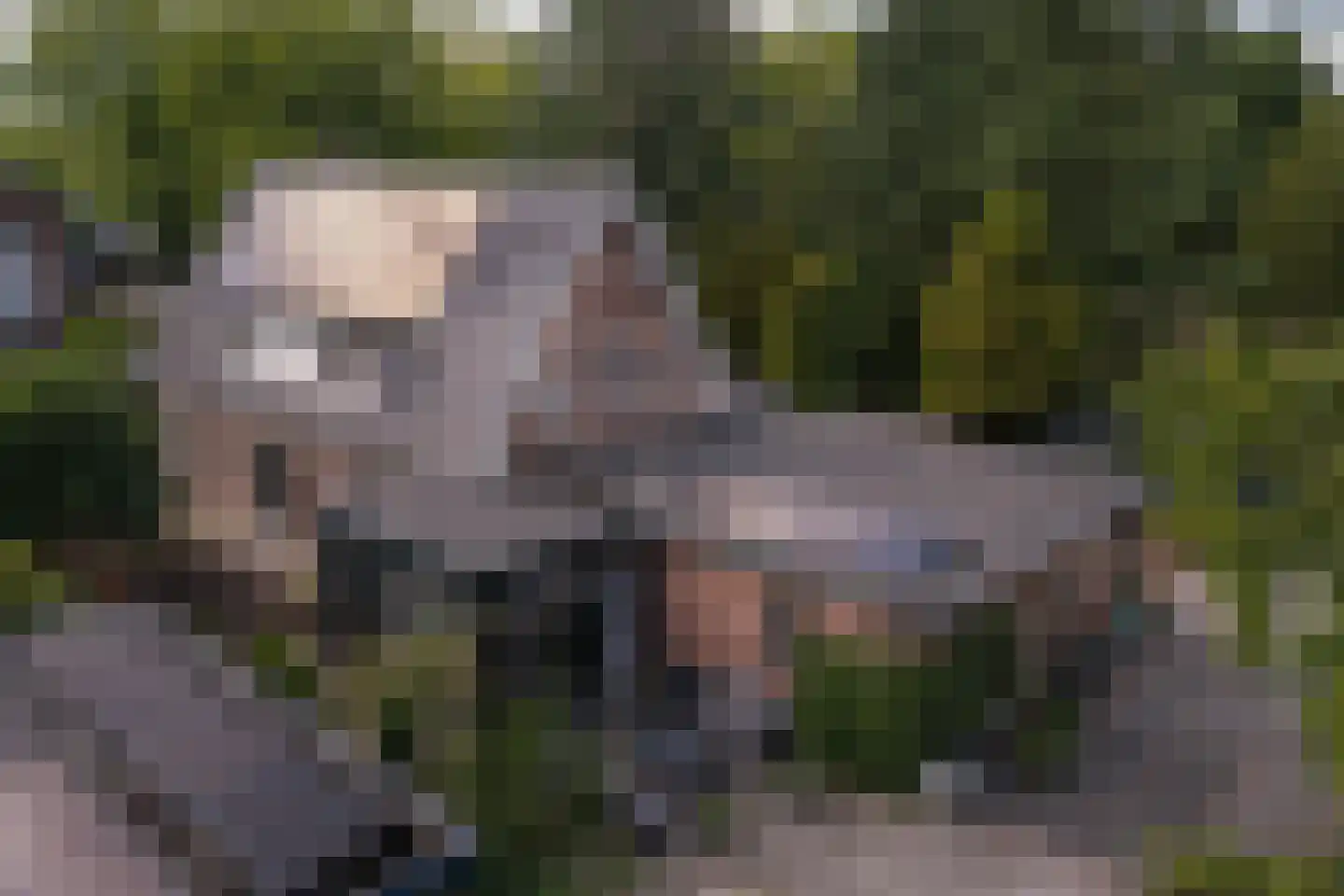 H.W. Iordensweg 33 Twello thumbnail 48