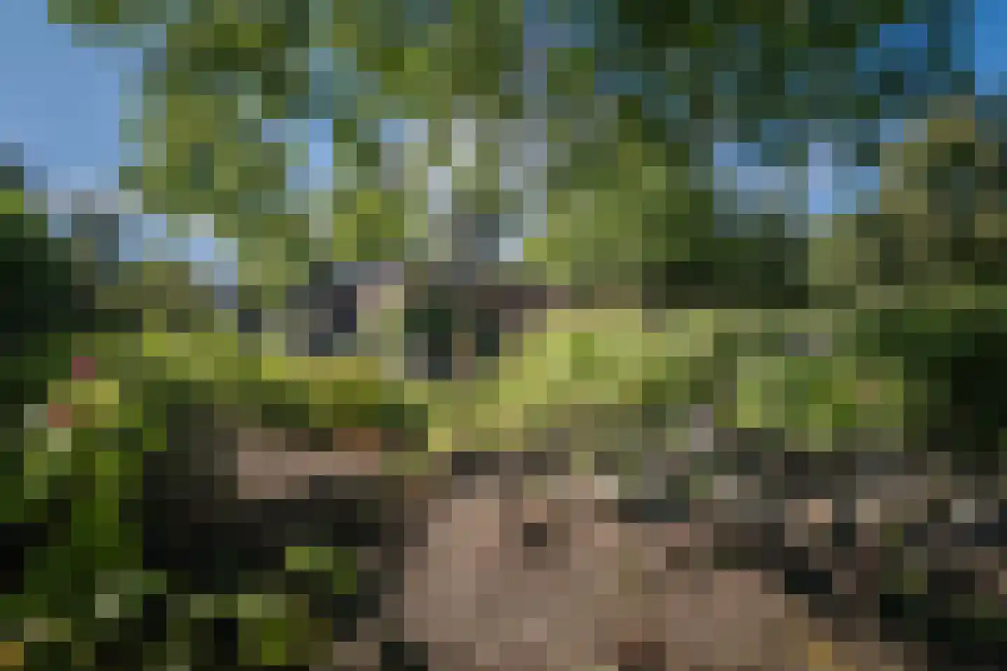 H.W. Iordensweg 33 Twello thumbnail 52
