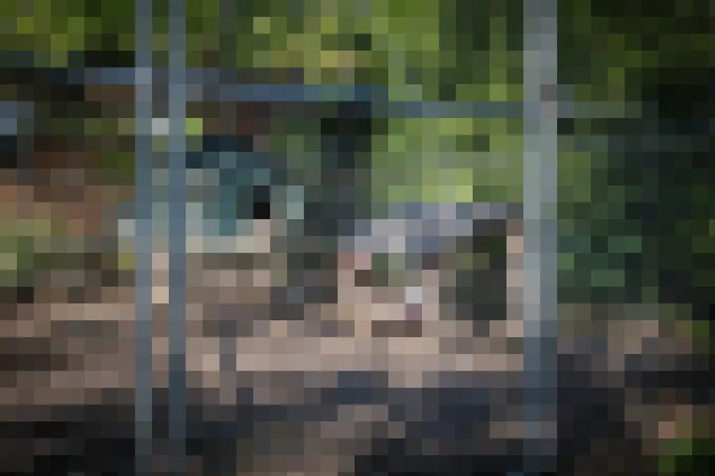 H.W. Iordensweg 33 Twello thumbnail 53