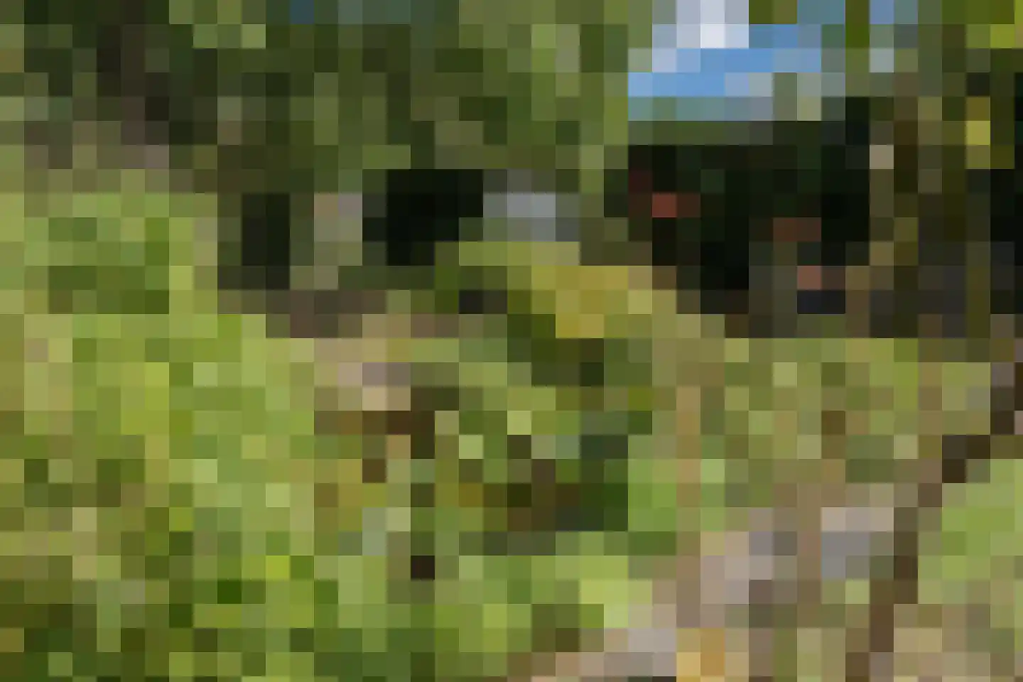 H.W. Iordensweg 33 Twello thumbnail 54