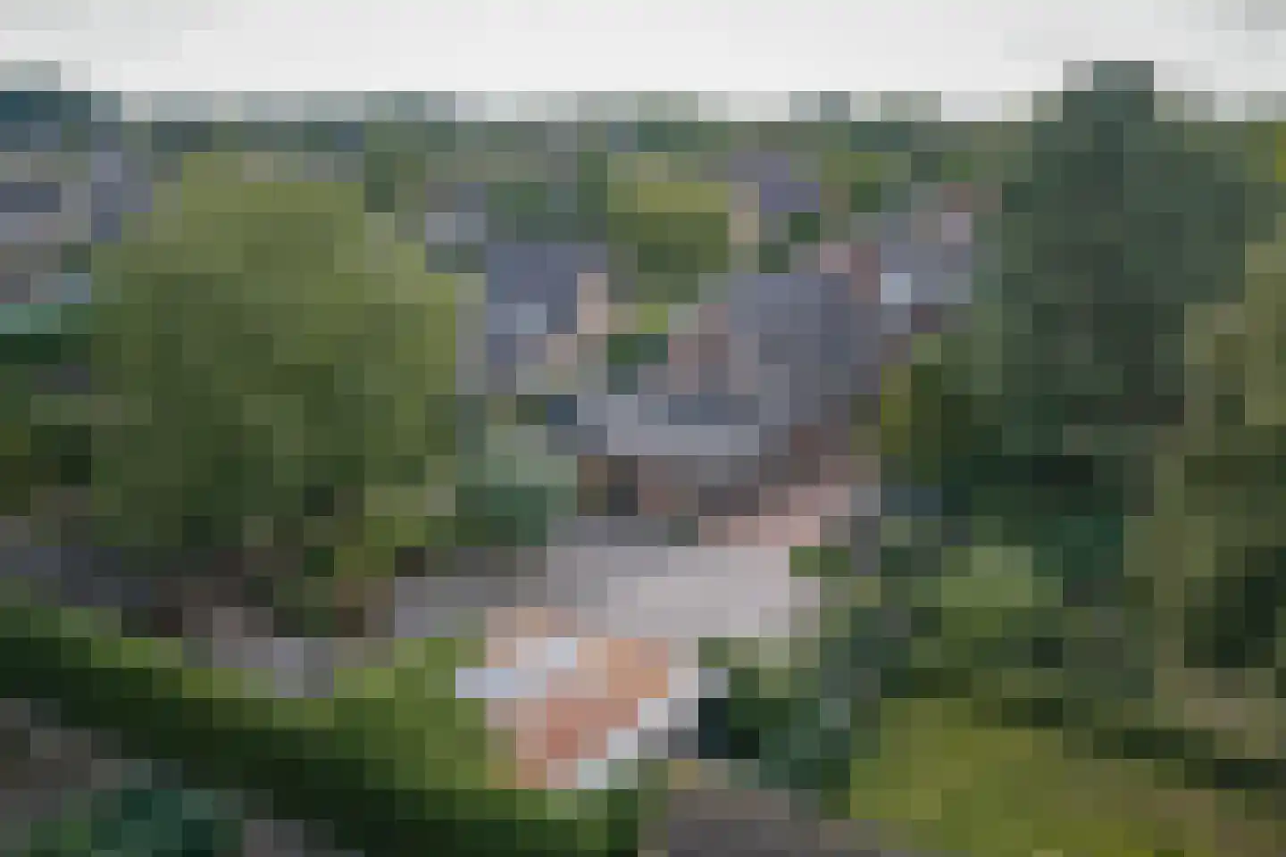 H.W. Iordensweg 33 Twello thumbnail 60